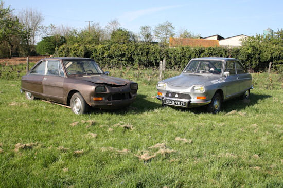 No. 18, Brun Scarabee?